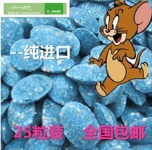 高效除鼠新选择 最新粘鼠板产品全方位解析与选购指南