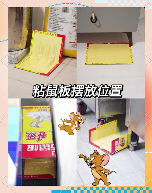 粘鼠板使用全攻略 选对位置与方法，轻松高效灭鼠