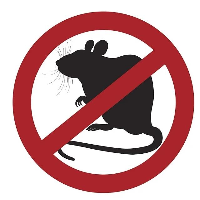 粘鼠板对孩子是否有潜在危险？