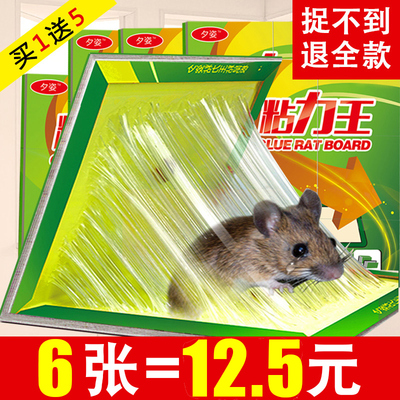 虎猫汽车驱鼠器360购物全面指南 超声波技术解析与360购物现场测试对比粘鼠板汽车使用，买不买先看，体验真实